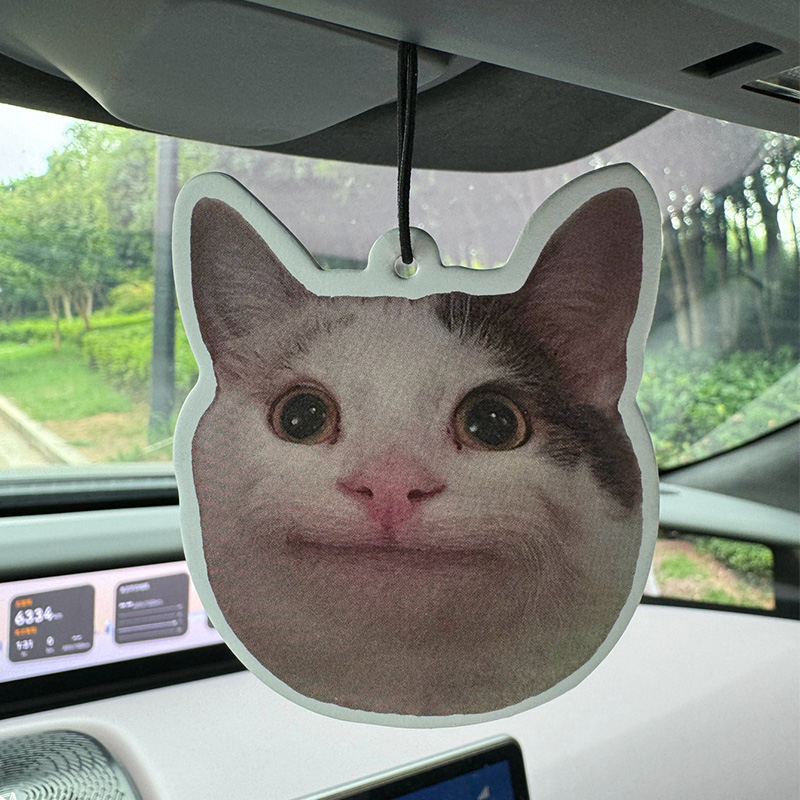 Sad Cat Emoticon Pack Hilton ( - Home Bathroom Freshener ulasan dan harga